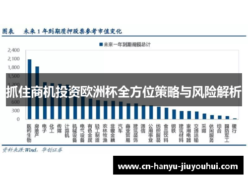 抓住商机投资欧洲杯全方位策略与风险解析